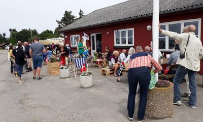 Hårbølle Havn loppemarked og koncert