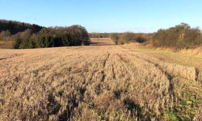 Skovhusegade-13B-landbrug-landbrugsjord-Stensved-Vordingborg-Sydsjælland-fb