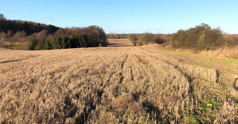 Skovhusegade-13B-landbrug-landbrugsjord-Stensved-Vordingborg-Sydsjælland-fb