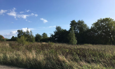 Vordingborg Kommune. Her er en smuk beliggende byggegrund til salg