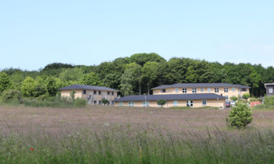 Hundeskoven-Vordingborg-ungdomsboliger-IMG_5985