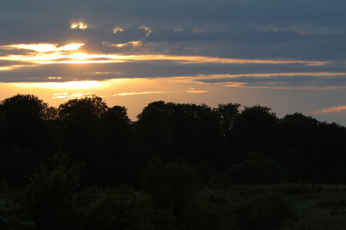 Kulsbjerg-øvelsesterræn-solnedgang-IMG_5893