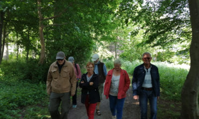 gåbussen-fra-Bogø-på-tur-i-Stubbekøbing-e