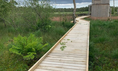 Horreby-Lyng-gangbro