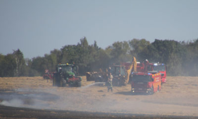 Brand-markbrand-på-Møn-Klekkendevej-Askeby--IMG_7396