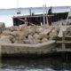 Hårbølle-Havn-ugens-fototur-Møn-molehoved-knækket-sammen-IMG_7540