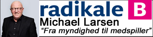 Michael Larsen Radikale Venstre i Vordingborg Kommunalvalg