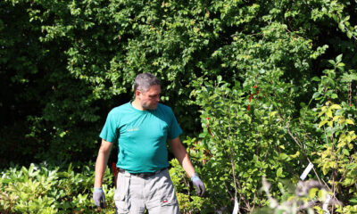 Planteskolen Stege Bugt ineehaver Lars Jensen