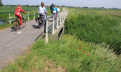 Børn cykler i vordingborg