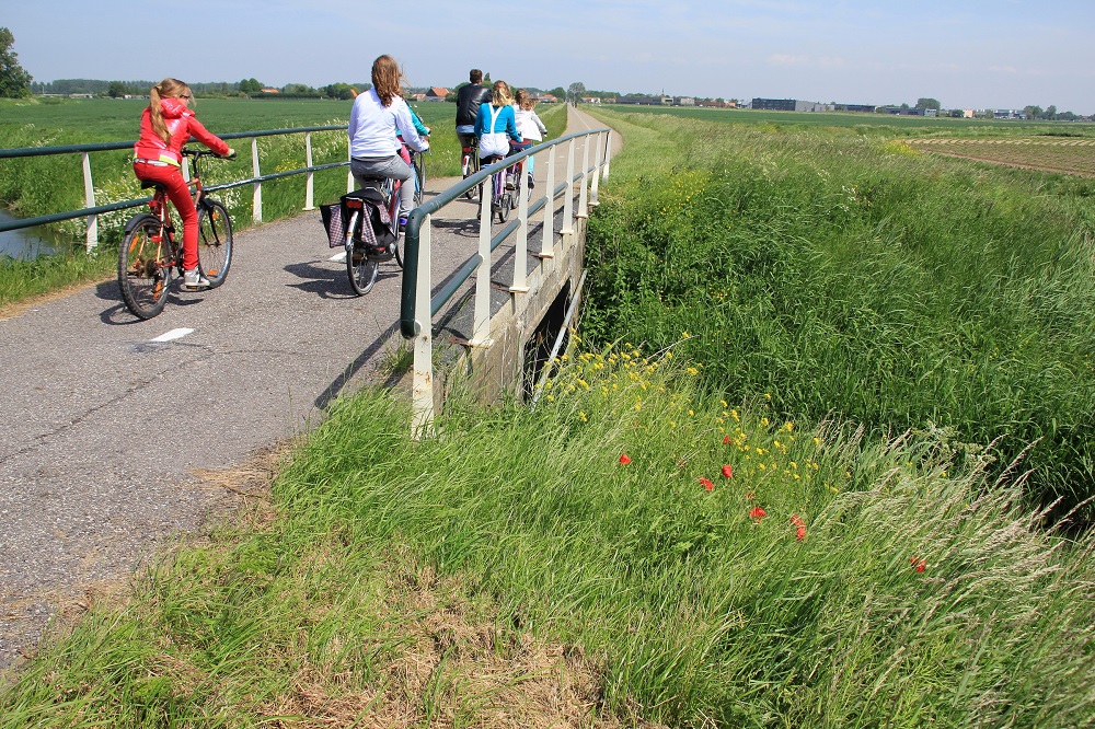 Børn cykler i vordingborg