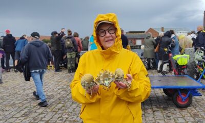 Sildemarked Stege på Møn Jeanette Lopez